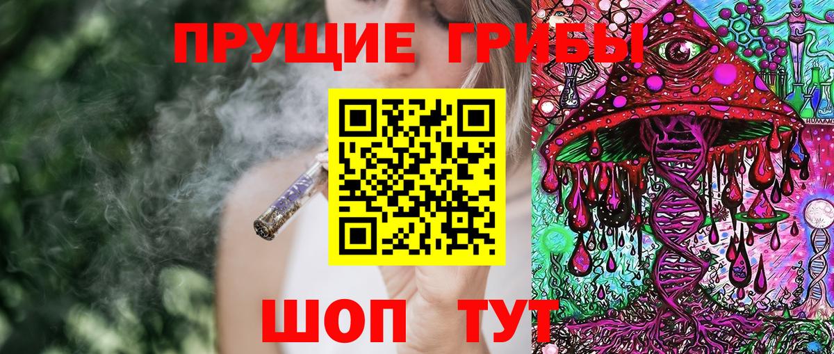 Псилоцибиновые грибы GOLDEN TEACHER  Вход с VPN  Луховицы 